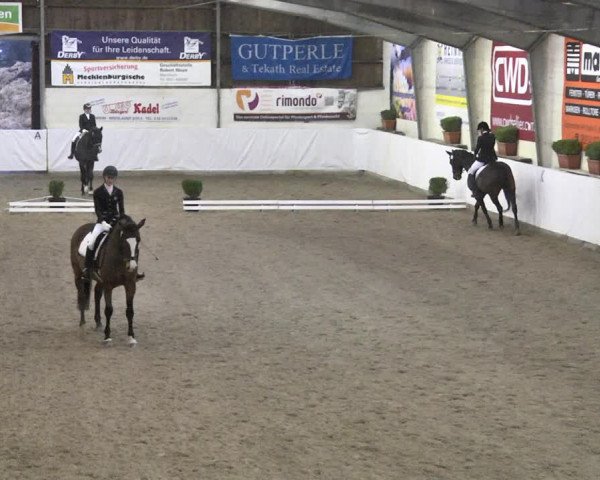 Reitturnier Viernheim 2018
