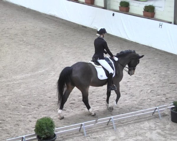 Reitturnier Viernheim 2018