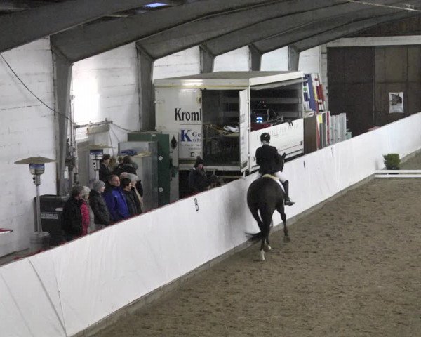 Reitturnier Viernheim 2018