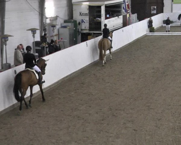 Reitturnier Viernheim 2018
