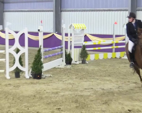 Reitturnier Arnsberg-Voßwinkel 2018