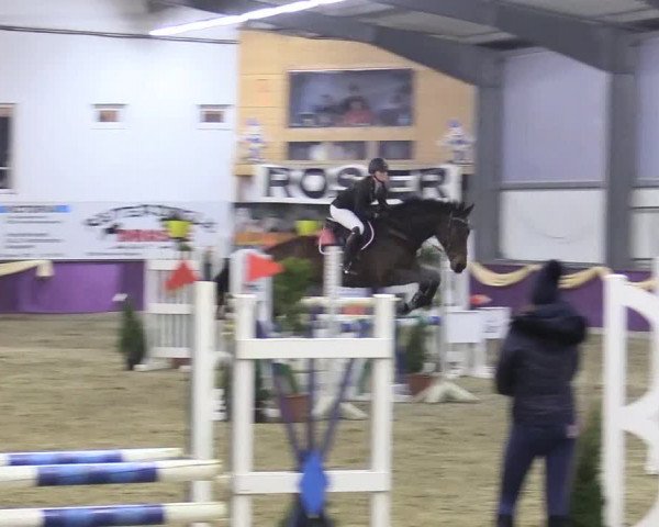 Reitturnier Arnsberg-Voßwinkel 2018