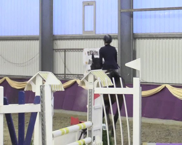 Reitturnier Arnsberg-Voßwinkel 2018