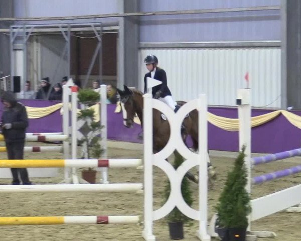 Reitturnier Arnsberg-Voßwinkel 2018