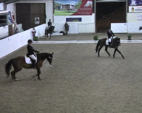 Reitturnier Viernheim 2018