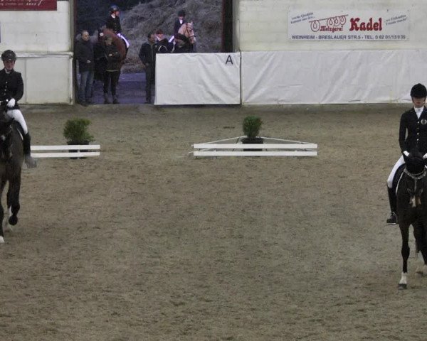 Reitturnier Viernheim 2018