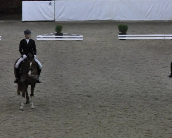 Reitturnier Viernheim 2018