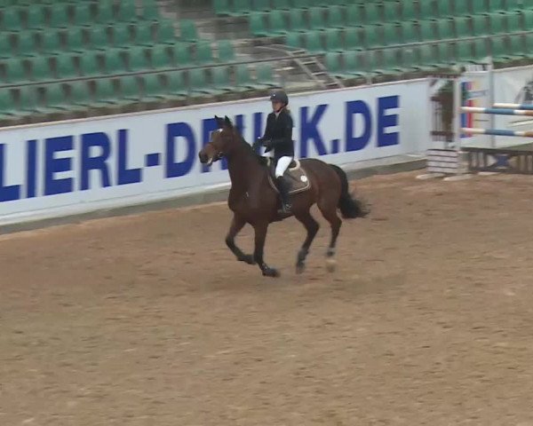 FEI Reitturnier Kreuth (GER) 2018