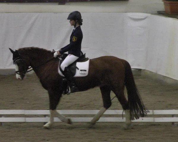 Reitturnier Viernheim 2018