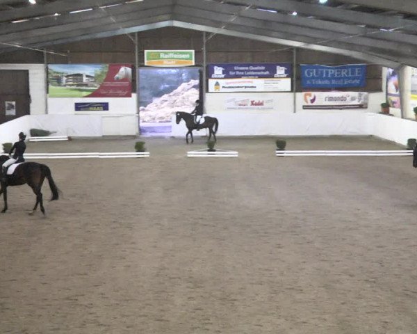 Reitturnier Viernheim 2018