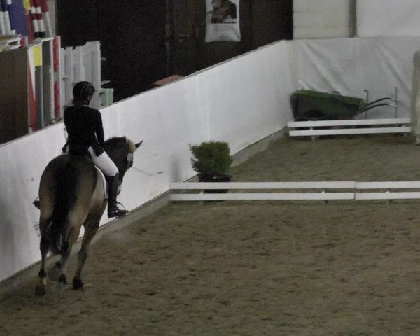 Reitturnier Viernheim 2018