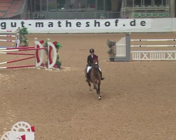 FEI Reitturnier Kreuth (GER) 2018