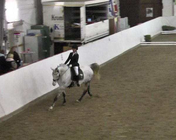 Reitturnier Viernheim 2018