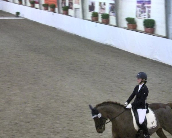 Reitturnier Viernheim 2018