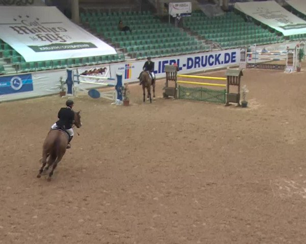 FEI Reitturnier Kreuth (GER) 2018