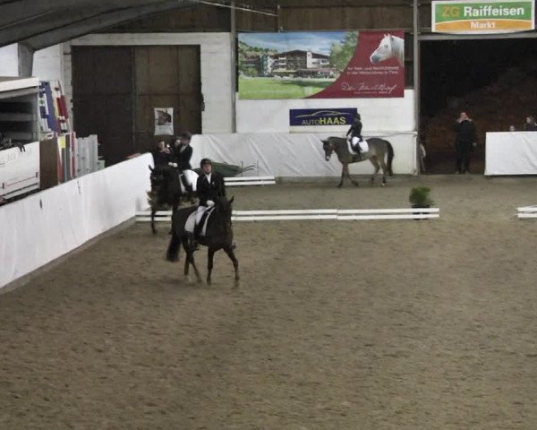 Reitturnier Viernheim 2018
