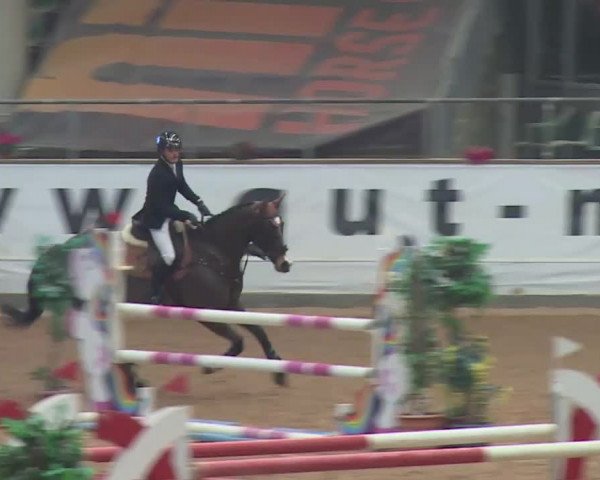 FEI Reitturnier Kreuth (GER) 2018