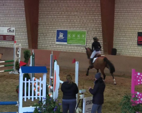 Reitturnier Kamen 2018