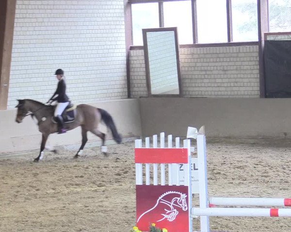 Reitturnier Kamen 2018