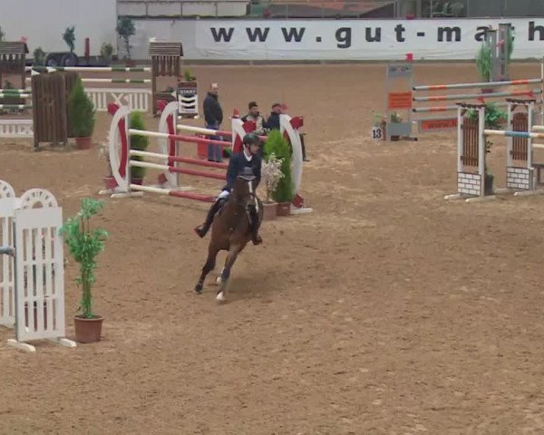 FEI Reitturnier Kreuth (GER) 2018