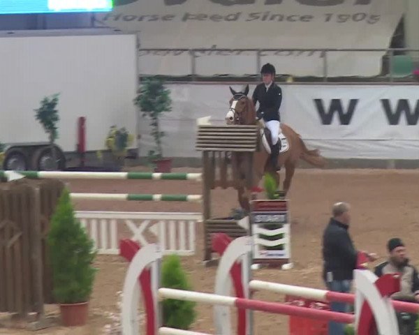 FEI Reitturnier Kreuth (GER) 2018