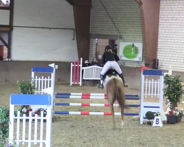 Reitturnier Kamen 2018