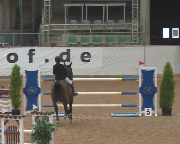 FEI Reitturnier Kreuth (GER) 2018