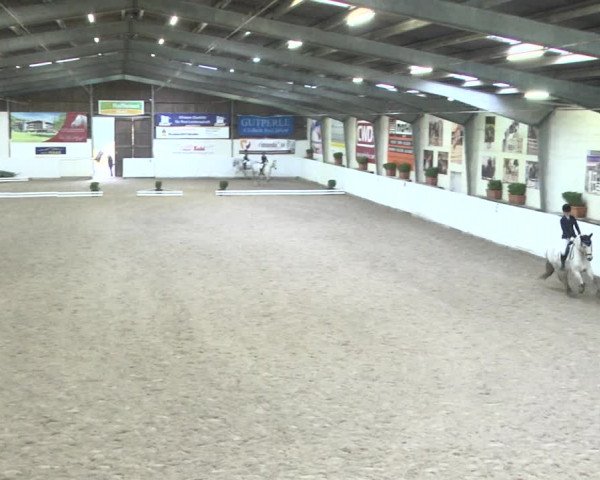 Reitturnier Viernheim 2018