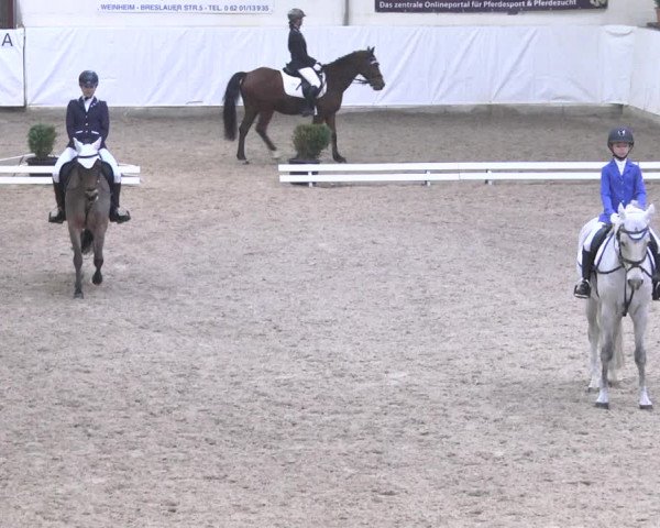 Reitturnier Viernheim 2018
