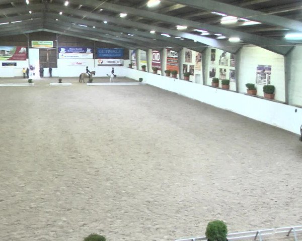 Reitturnier Viernheim 2018