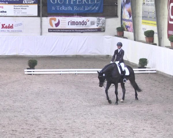 Reitturnier Viernheim 2018