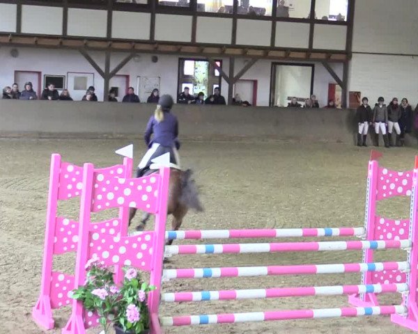 Reitturnier Kamen 2018