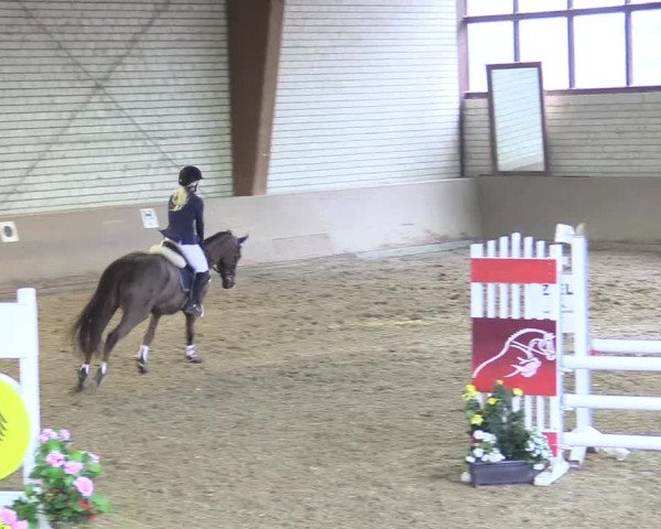 Reitturnier Kamen 2018