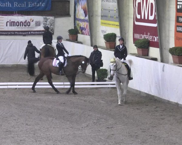 Reitturnier Viernheim 2018