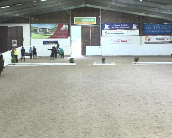 Reitturnier Viernheim 2018