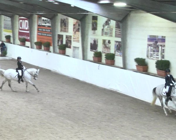 Reitturnier Viernheim 2018