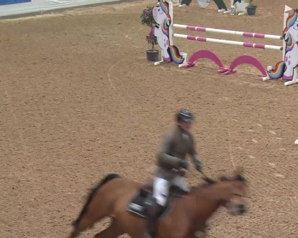 FEI Reitturnier Kreuth (GER) 2018