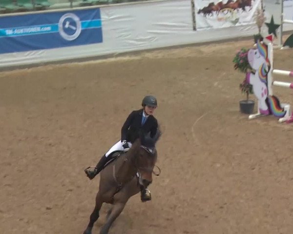 FEI Reitturnier Kreuth (GER) 2018
