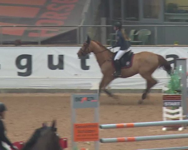 FEI Reitturnier Kreuth (GER) 2018