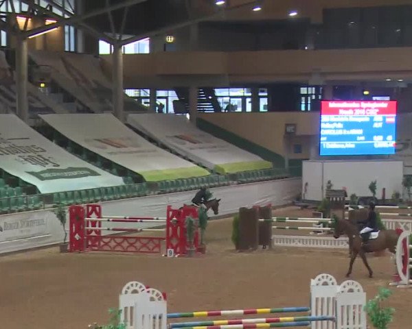 FEI Reitturnier Kreuth (GER) 2018