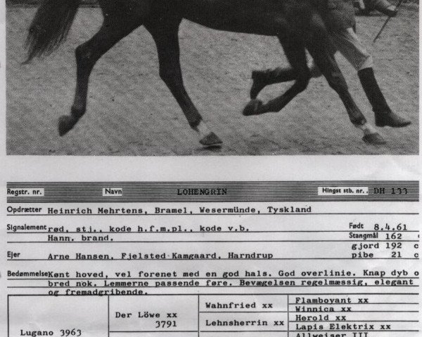 stallion Lohengrin (Danish Warmblood, 1961, from Lugano I 3963)