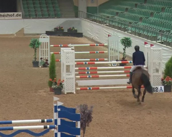 FEI Reitturnier Kreuth (GER) 2018