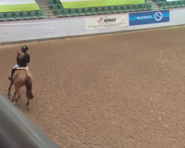 FEI Reitturnier Kreuth (GER) 2018