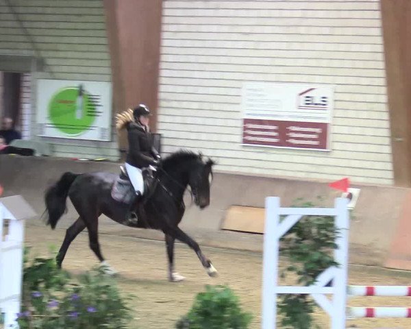 Reitturnier Kamen 2018