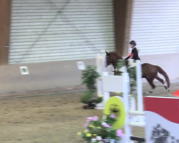 Reitturnier Kamen 2018