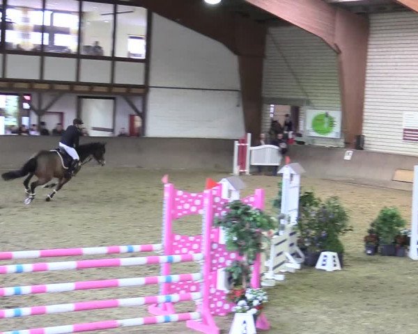Reitturnier Kamen 2018