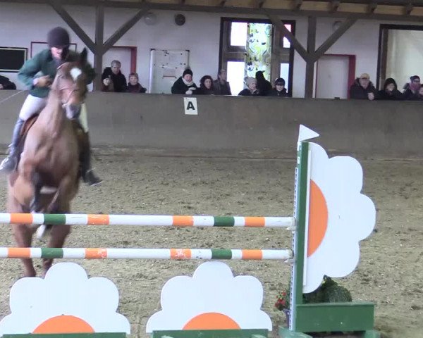 Reitturnier Kamen 2018