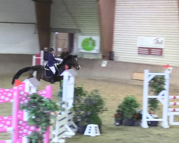 Reitturnier Kamen 2018