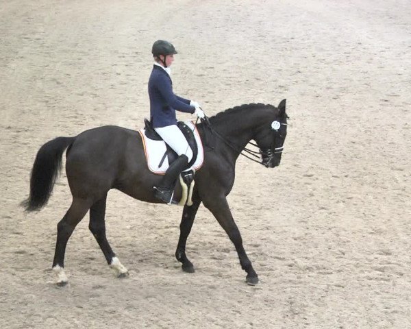 Reitturnier Viernheim 2018