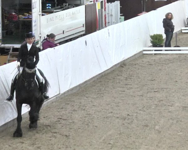 Reitturnier Viernheim 2018